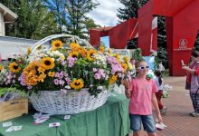 Photo of Открытый мир на веселых вездеходах